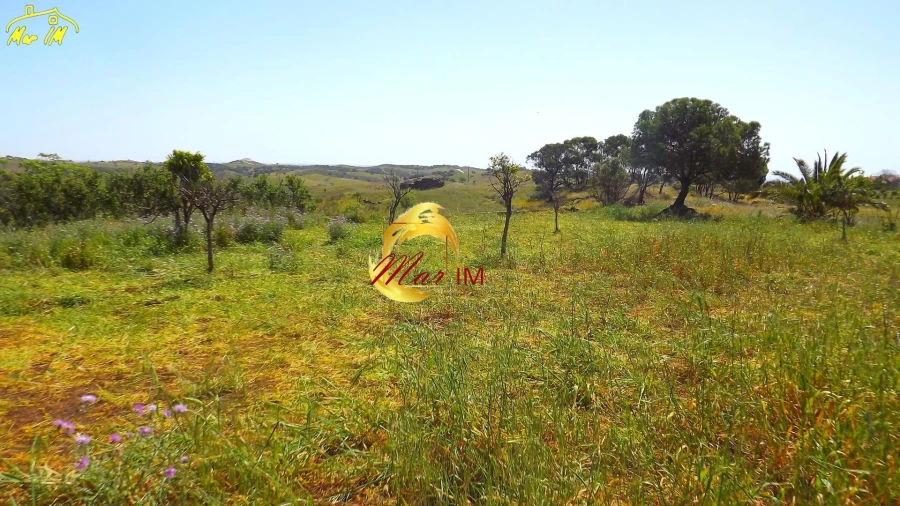 Terreno para Venda em Vila Nova de Cacela Foto 43