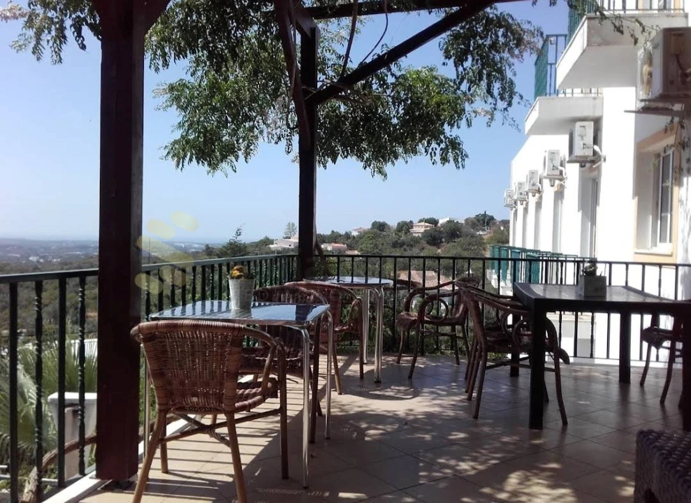 Negócio para Venda em Loule (São Sebastião) Foto 14
