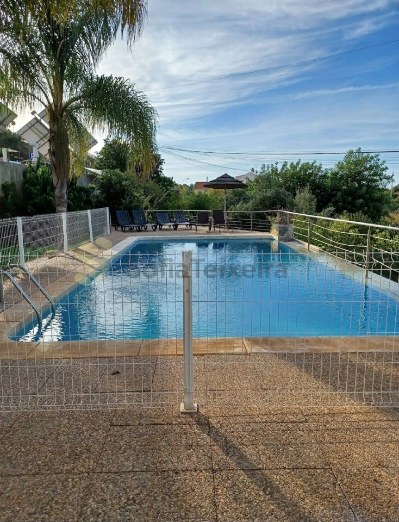 Negócio para Venda em Loule (São Sebastião) Foto 17