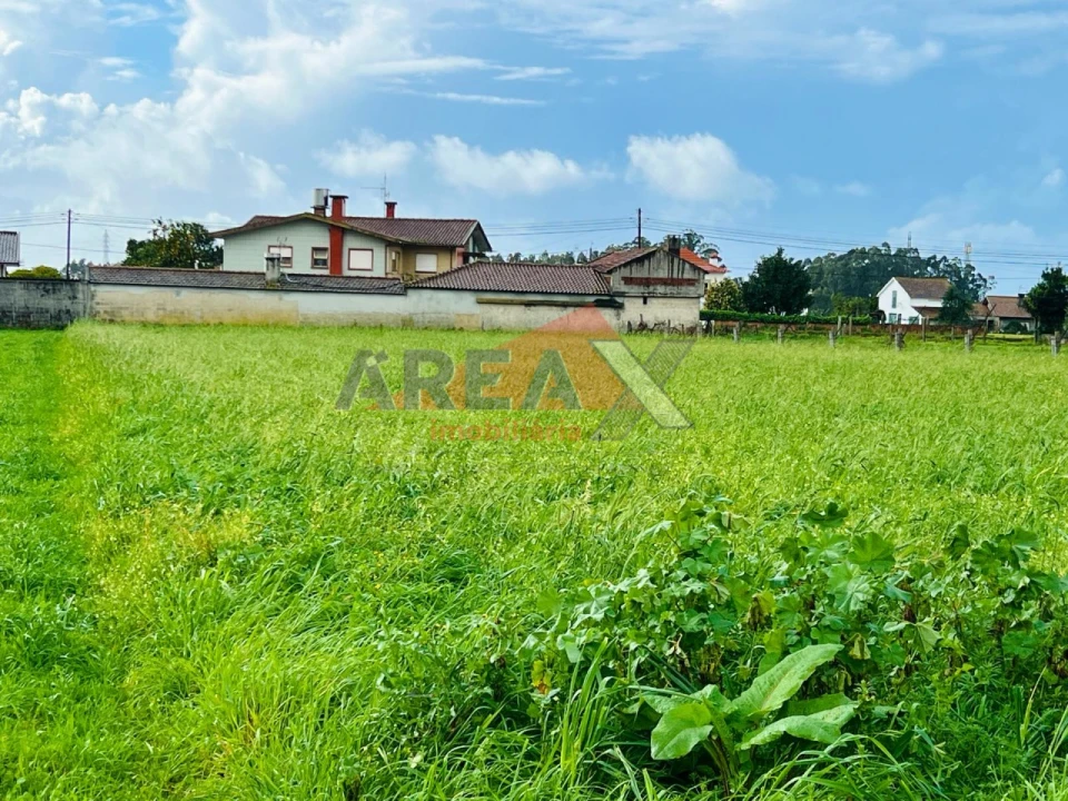 Terreno para Venda em Loureiro Foto 2
