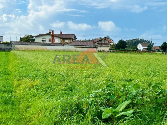 Terreno para Venda em Loureiro Foto 2