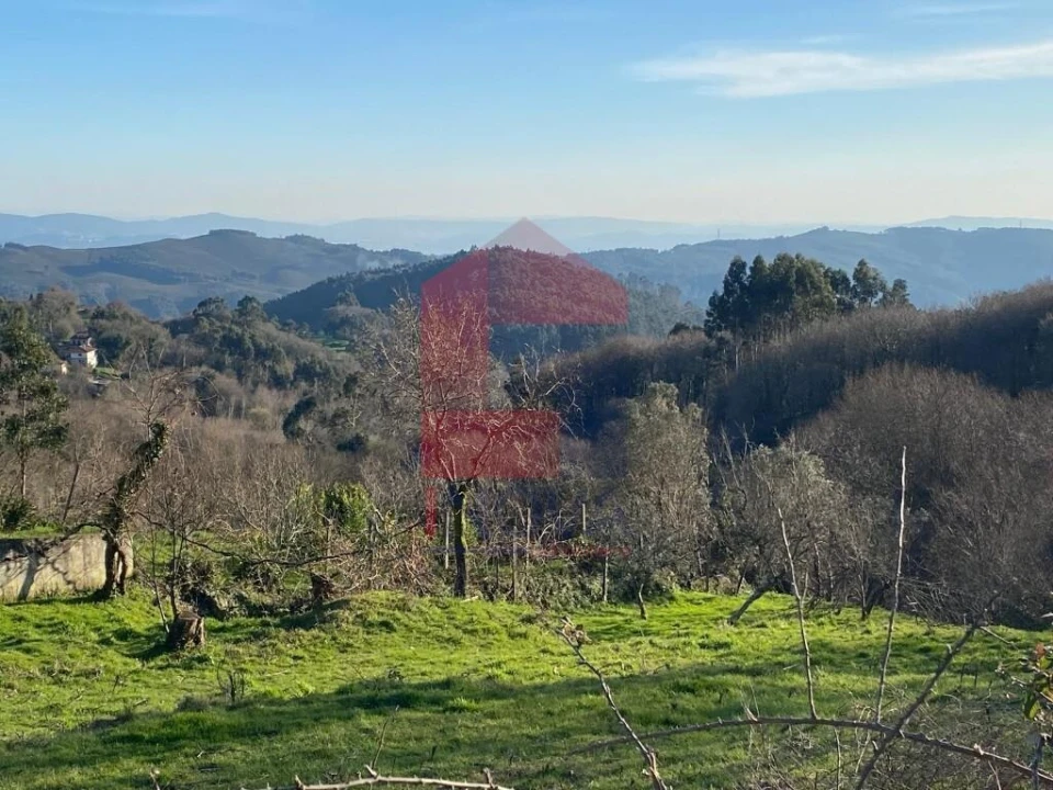 Terreno para Venda em Pico de Regalados, Gondiães e Mós Foto 24