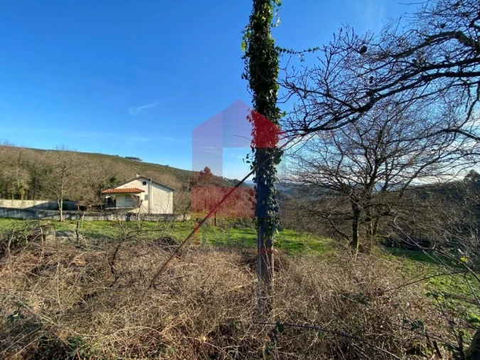 Terreno para Venda em Pico de Regalados, Gondiães e Mós Foto 27