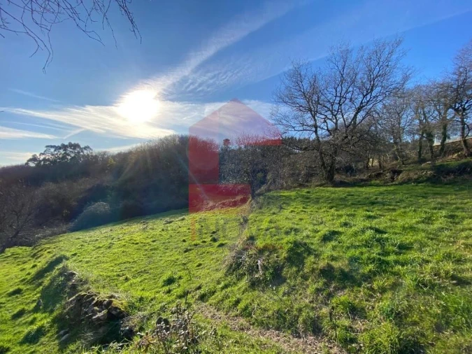 Terreno para Venda em Pico de Regalados, Gondiães e Mós Foto 15