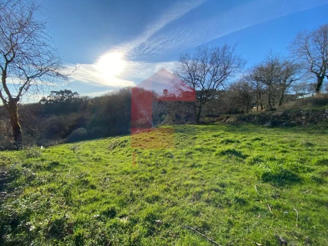 Terreno para Venda em Pico de Regalados, Gondiães e Mós Foto 3