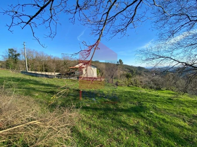 Terreno para Venda em Pico de Regalados, Gondiães e Mós Foto 11