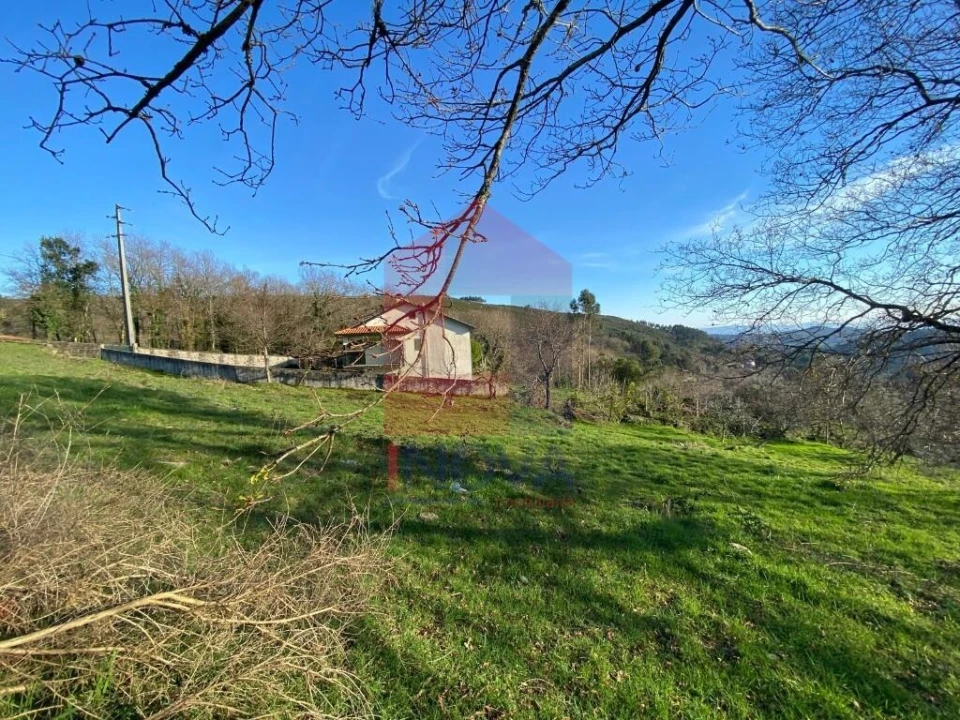 Terreno para Venda em Pico de Regalados, Gondiães e Mós Foto 11