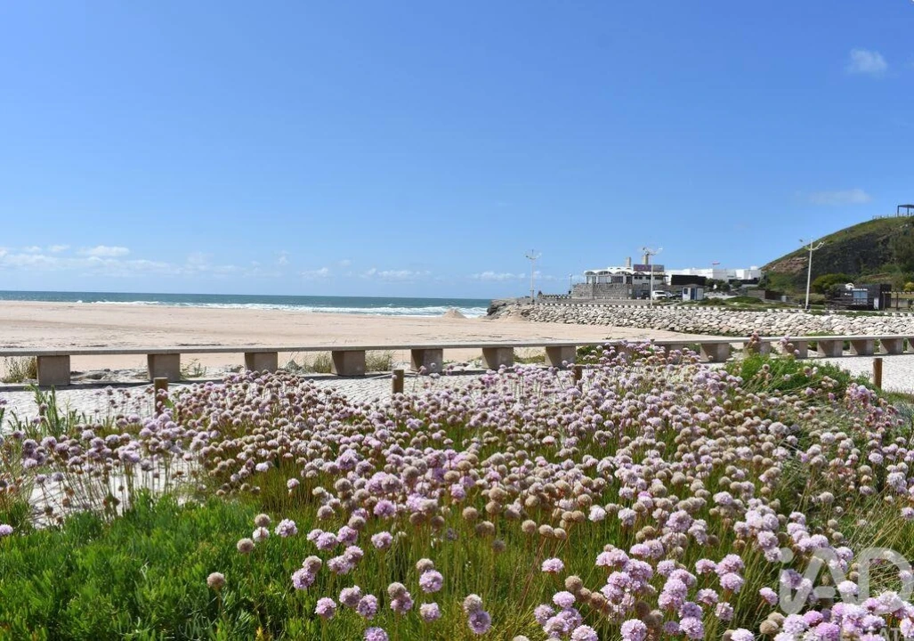 Moradia T4 para Venda em Lourinhã e Atalaia Foto 14