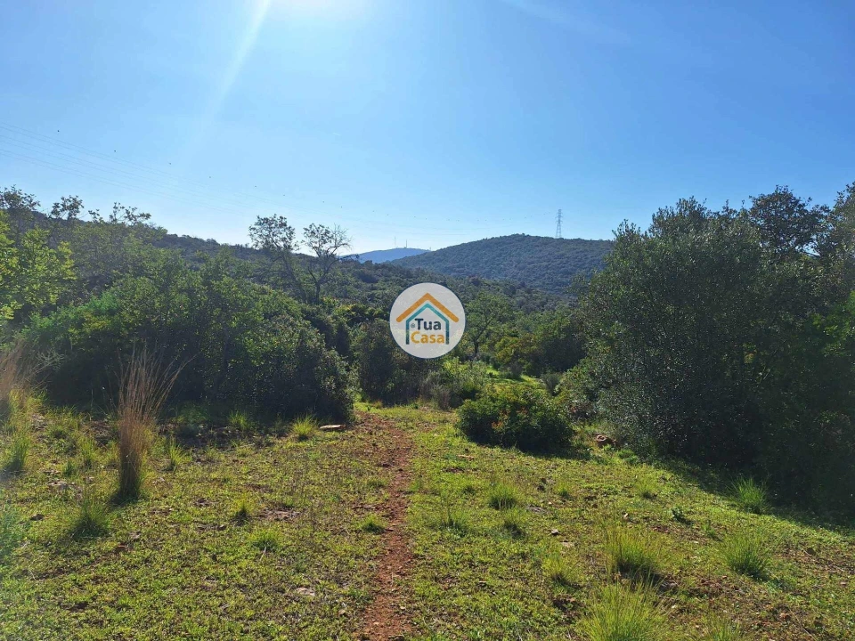 Terreno para Venda em São Brás de Alportel Foto 11