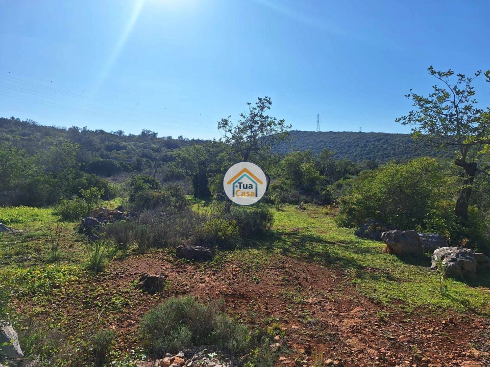 Terreno para Venda em São Brás de Alportel Foto 13