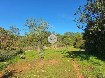 Terreno para Venda em São Brás de Alportel