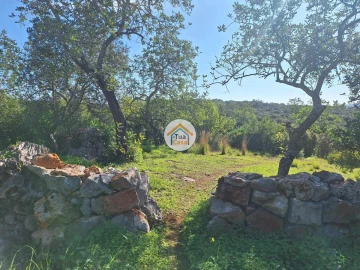 Terreno para Venda em São Brás de Alportel