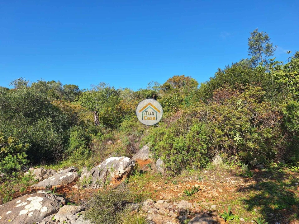 Terreno para Venda em São Brás de Alportel Foto 5