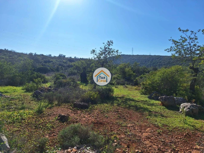 Terreno para Venda em São Brás de Alportel Foto 13