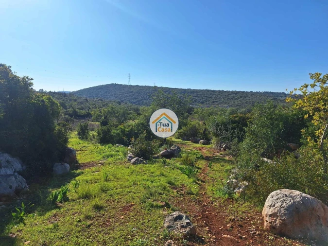 Terreno para Venda em São Brás de Alportel Foto 9