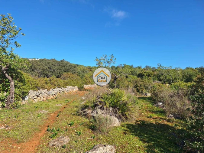 Terreno para Venda em São Brás de Alportel Foto 2