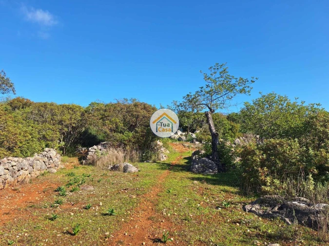 Terreno para Venda em São Brás de Alportel Foto 10