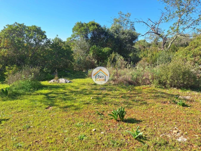 Terreno para Venda em São Brás de Alportel Foto 3