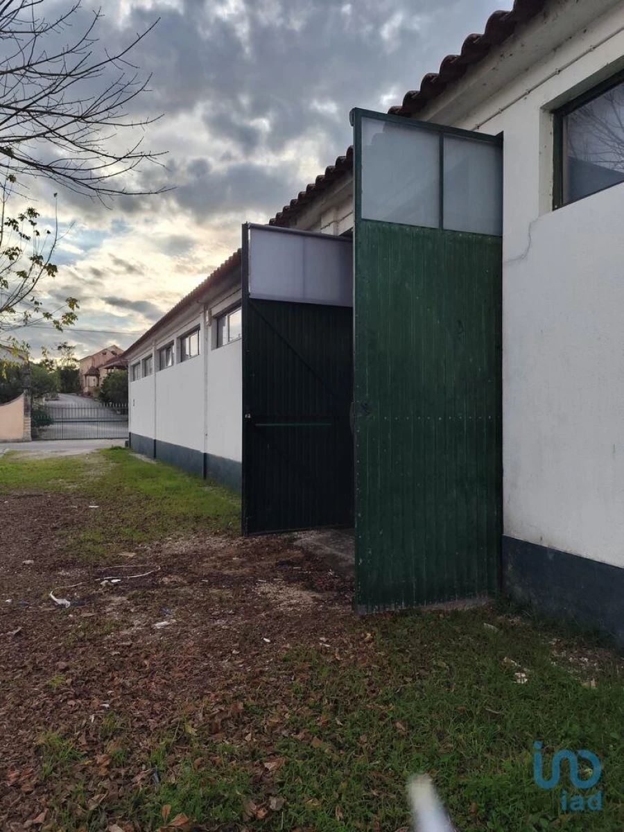 Loja para Venda em Montemor-O-Velho e Gatões Foto 2