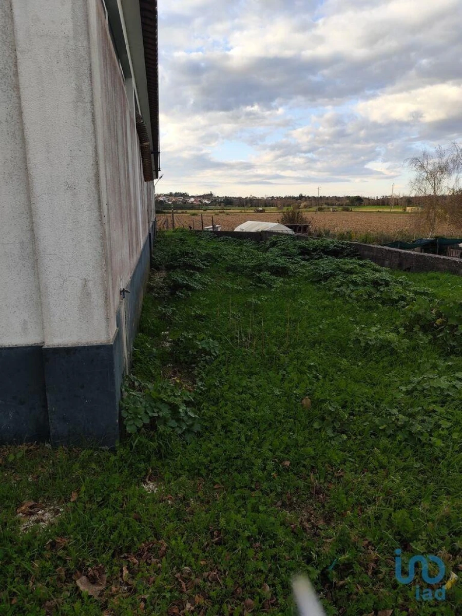 Loja para Venda em Montemor-O-Velho e Gatões Foto 11