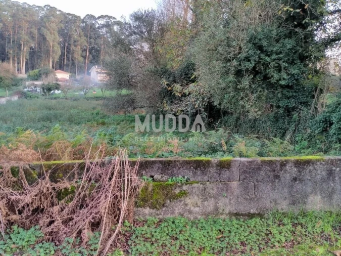 Terreno para Venda em Grijó e Sermonde Foto 6