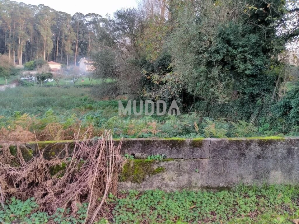 Terreno para Venda em Grijó e Sermonde Foto 6