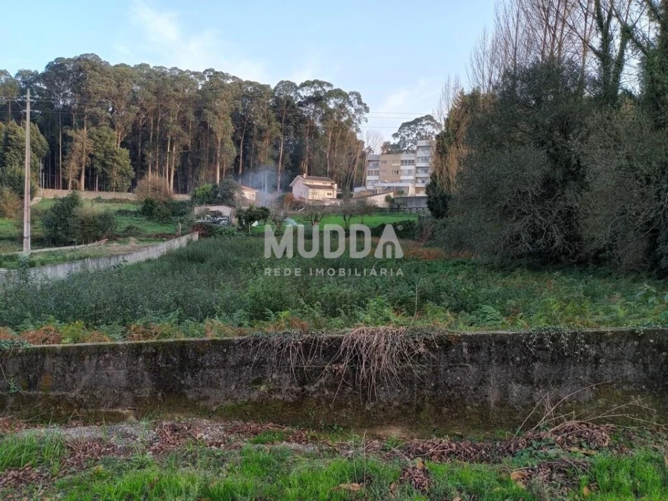 Terreno para Venda em Grijó e Sermonde Foto 4