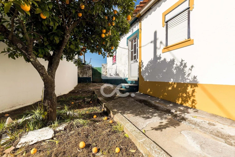 Moradia T1 para Venda em Alcaçovas Foto 12