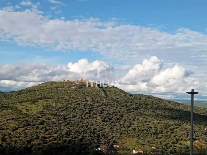 Negócio para Venda em Assunção, Ajuda, Salvador e Santo Ildefonso Foto 12