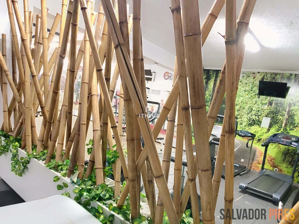 Negócio para Venda em Assunção, Ajuda, Salvador e Santo Ildefonso Foto 3