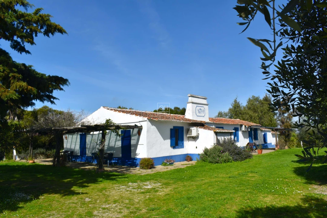 Quinta T14 para Venda em Azinheira dos Barros e São Mamede do Sádão Foto 10