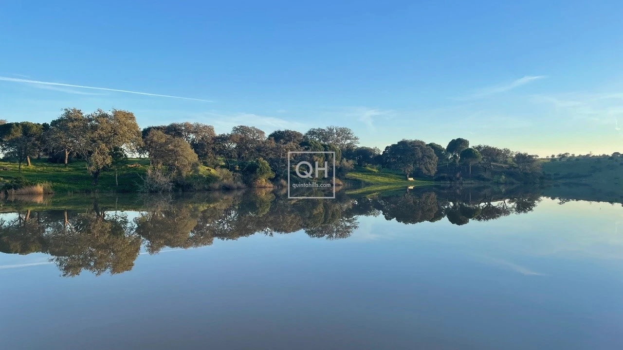 Quinta T14 para Venda em Azinheira dos Barros e São Mamede do Sádão Foto 21