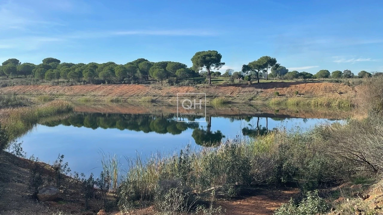 Quinta T14 para Venda em Azinheira dos Barros e São Mamede do Sádão Foto 20