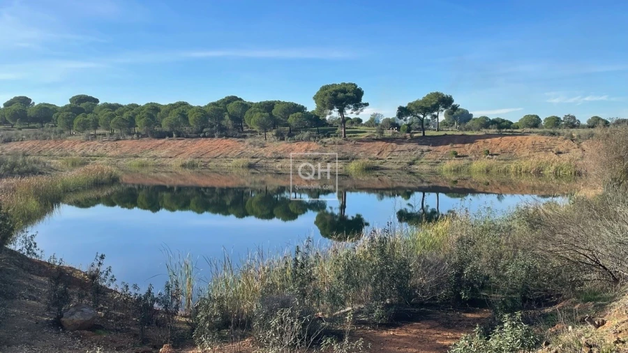 Quinta T14 para Venda em Azinheira dos Barros e São Mamede do Sádão Foto 20