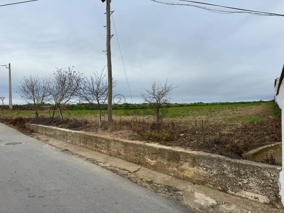 Terreno para Venda em São João de Negrilhos Foto 9