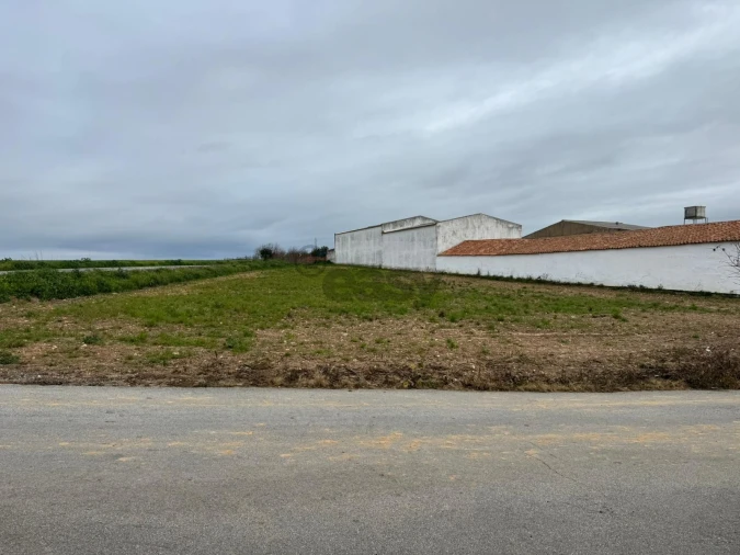 Terreno para Venda em São João de Negrilhos Foto 8