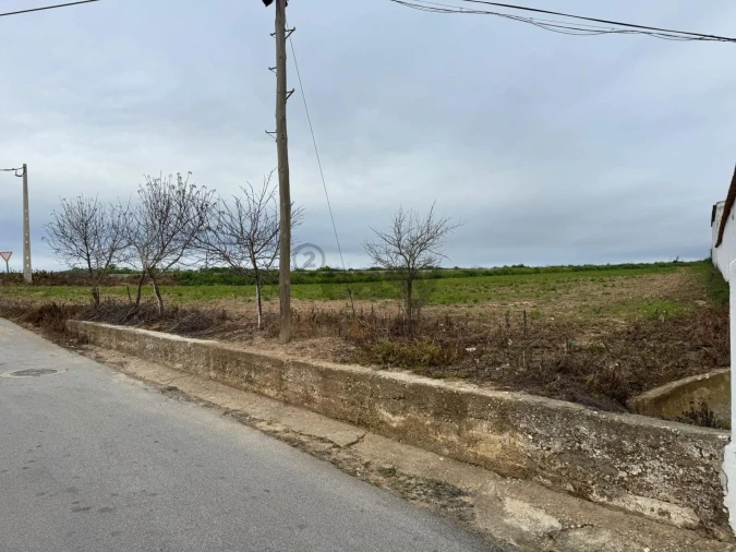Terreno para Venda em São João de Negrilhos Foto 9