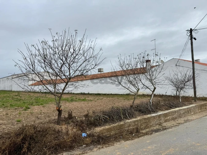 Terreno para Venda em São João de Negrilhos Foto 3