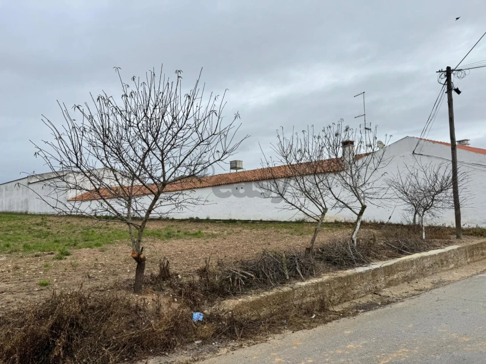 Terreno para Venda em São João de Negrilhos Foto 3