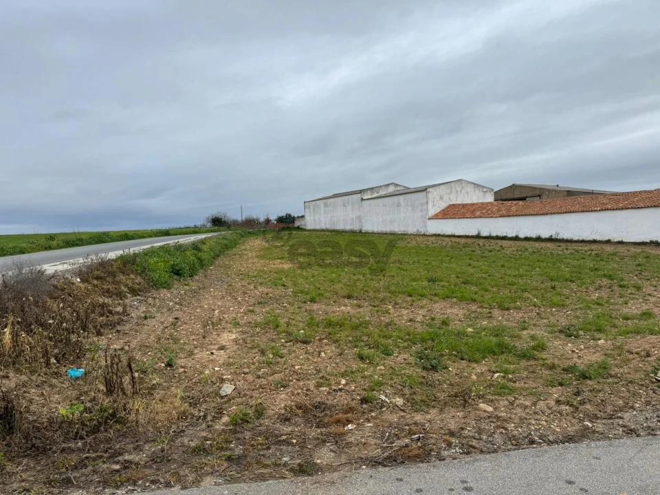 Terreno para Venda em São João de Negrilhos Foto 2