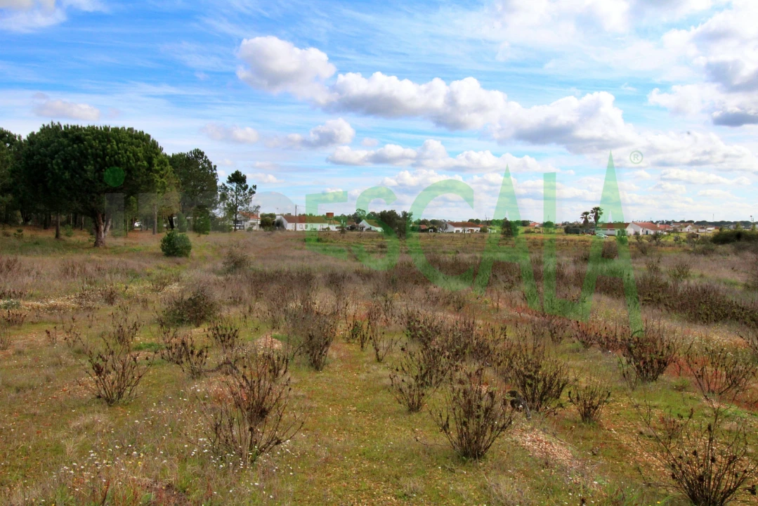 Moradia T4 para Venda em Benavente Foto 78