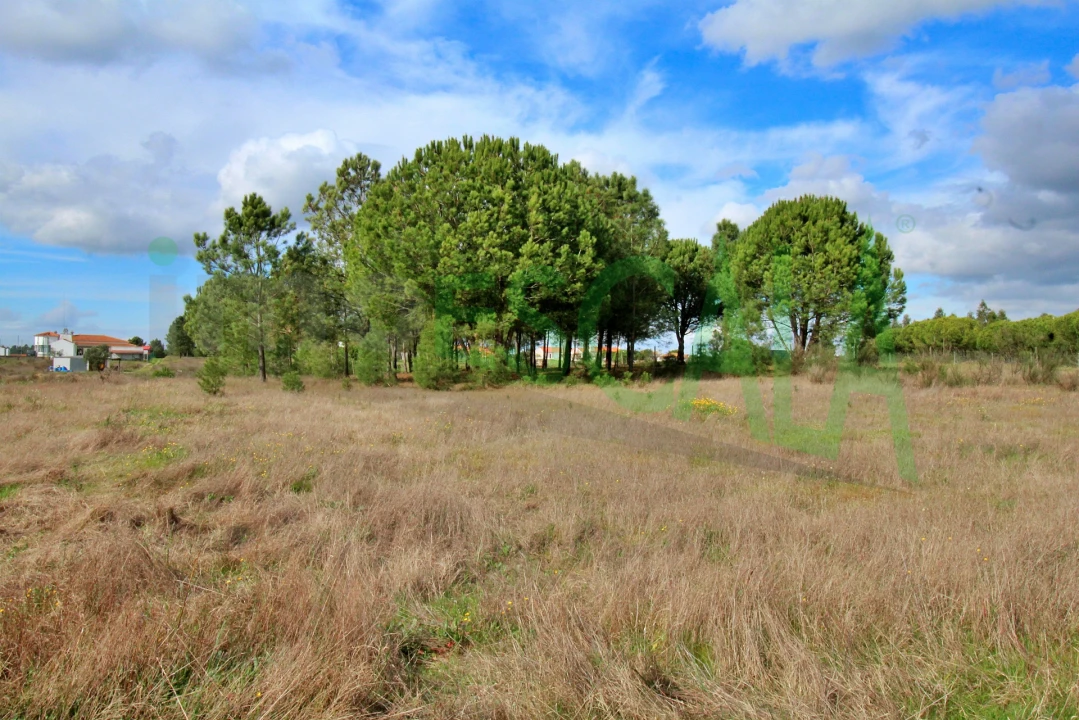 Moradia T4 para Venda em Benavente Foto 84