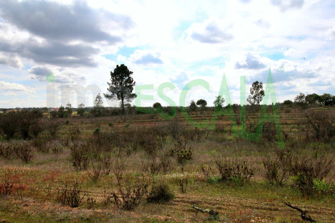 Moradia T4 para Venda em Benavente Foto 79