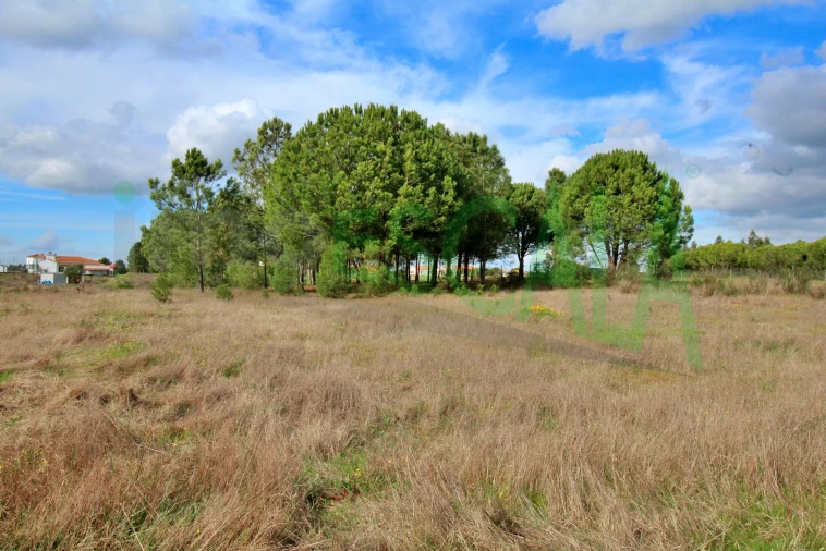 Moradia T4 para Venda em Benavente Foto 84