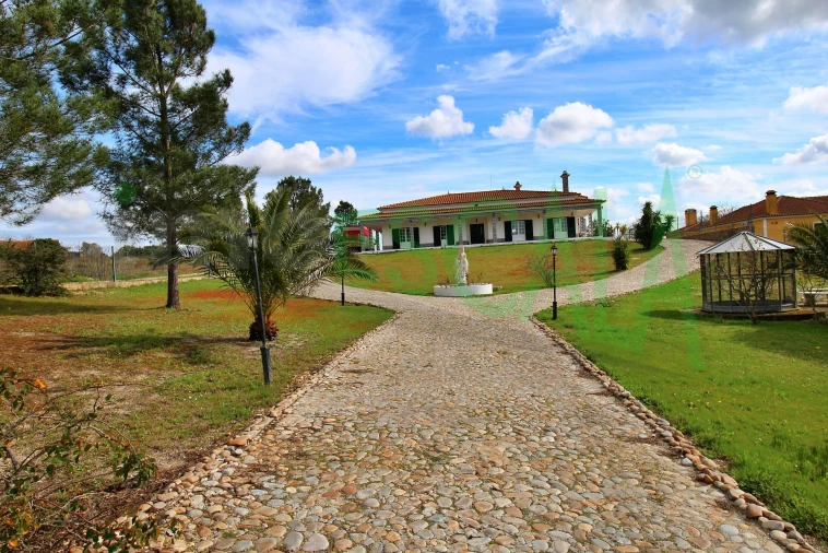 Moradia T4 para Venda em Benavente Foto 54