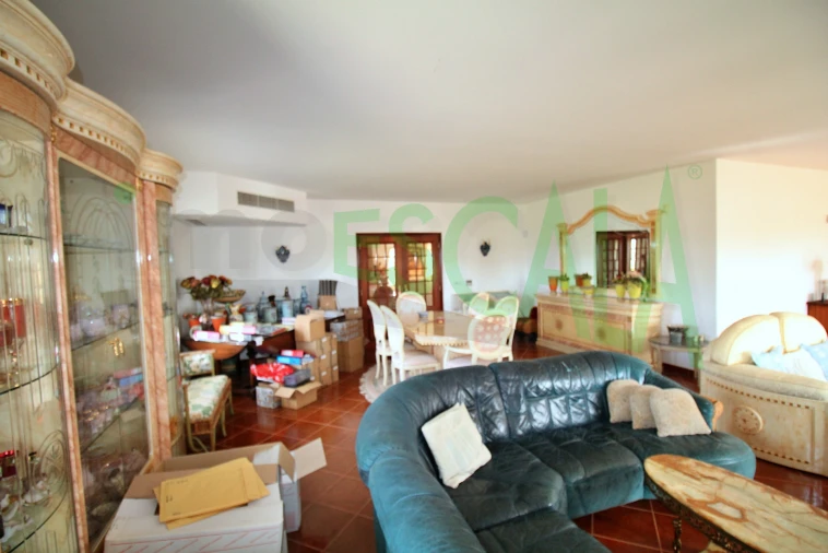 Moradia T4 para Venda em Benavente Foto 90