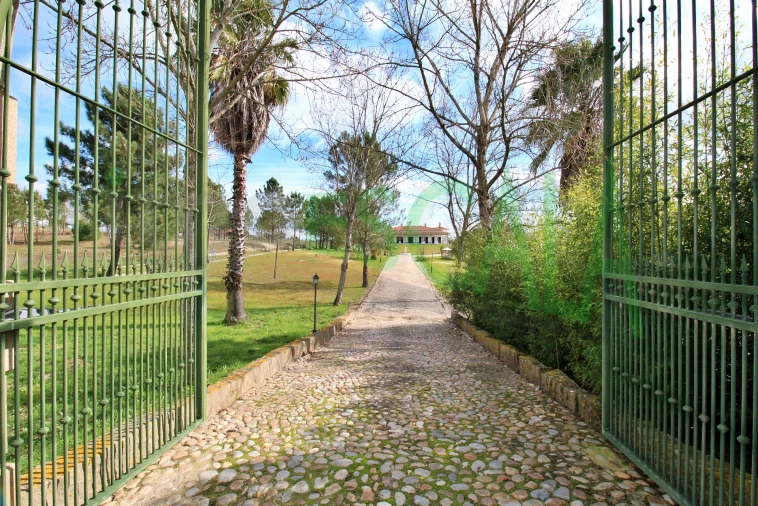 Moradia T4 para Venda em Benavente Foto 44