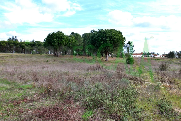 Moradia T4 para Venda em Benavente Foto 81