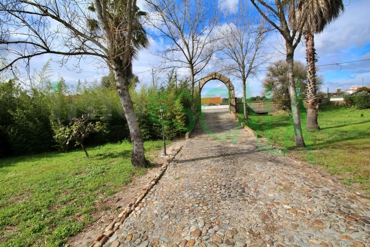 Moradia T4 para Venda em Benavente Foto 39