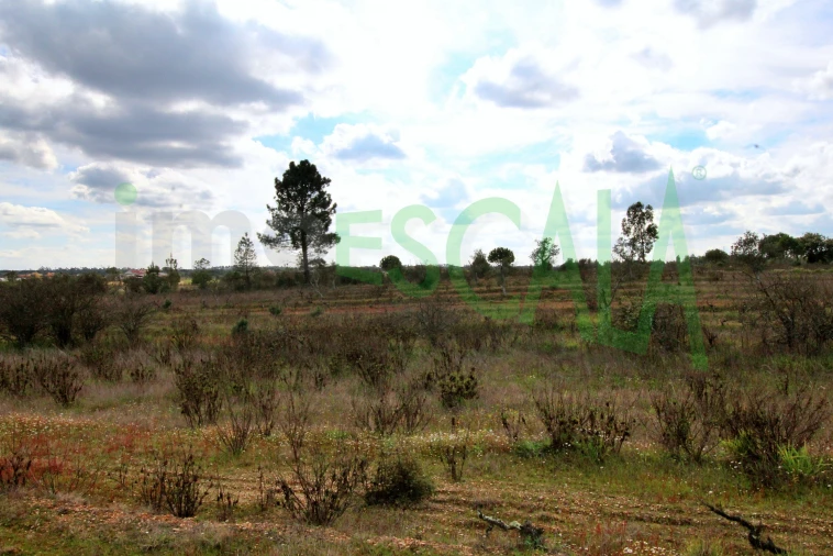 Moradia T4 para Venda em Benavente Foto 79